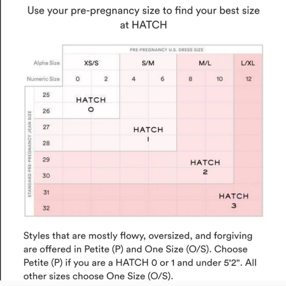 Hatch | Maternity The Sarah Dress in Pink Iris Gingham Size 1 = Small / Medium - Picture 2 of 14